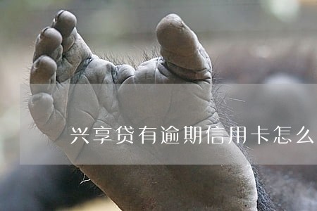 兴享贷有逾期信用卡怎么还款 兴享贷有逾期信用卡怎么还款