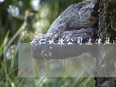 兴仁城投公司法律顾问 兴仁城投公司法律顾问