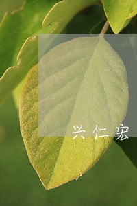 兴仁宏达贷款公司诉讼案