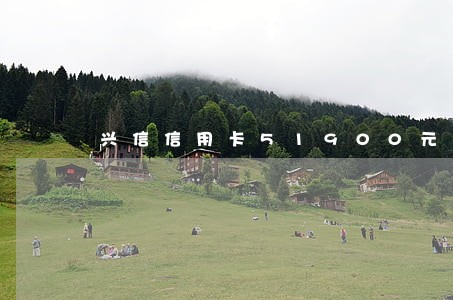 兴信信用卡51900元逾期了