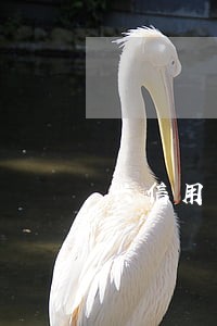 兴信用卡逾期三个月经侦备案 兴信用卡逾期三个月经侦备案