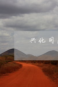 兴化司法招聘 兴化司法招聘