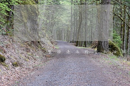 兴化整治违法经营加油站点 兴化整治违法经营加油站点