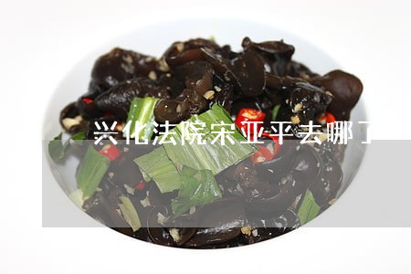 兴化法院宋亚平去哪了 兴化法院宋亚平去哪了