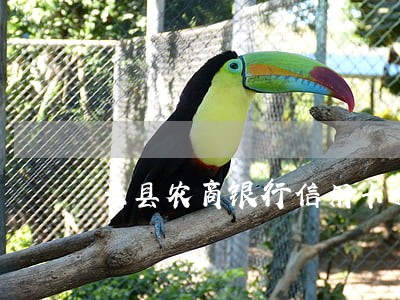 兴县农商银行信用卡逾期 兴县农商银行信用卡逾期
