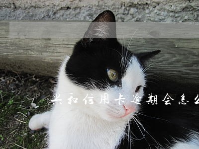 兴和信用卡逾期会怎么样 兴和信用卡逾期会怎么样
