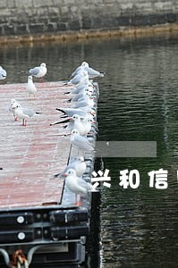 兴和信用卡逾期多久会有案底