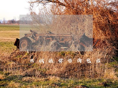 兴城法律咨询电话 兴城法律咨询电话