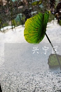兴宁区办理取保候审律师收费 兴宁区办理取保候审律师收费