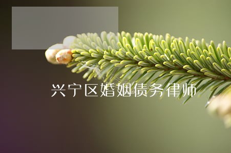 兴宁区婚姻债务律师 兴宁区婚姻债务律师