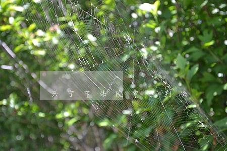 兴宁市法院审理判决 兴宁市法院审理判决