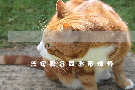 兴安县合同追责律师 兴安县合同追责律师