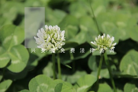 兴安盟免费法律咨询