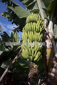 兴安盟律师在线咨询 兴安盟律师在线咨询