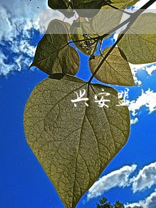 兴安盟抢劫罪律师收费 兴安盟抢劫罪律师收费
