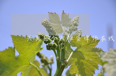 兴宾区个人独资律师在线免费咨询 兴宾区个人独资律师在线免费咨询