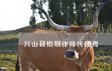 兴山县婚姻律师代理费 兴山县婚姻律师代理费