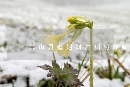 兴山县婚姻财产纠纷律师哪里找 兴山县婚姻财产纠纷律师哪里找
