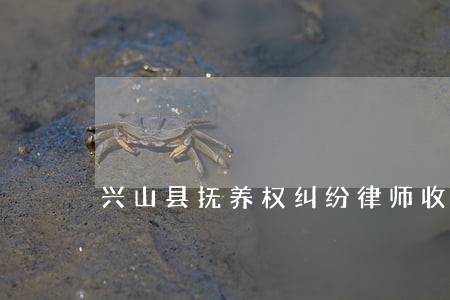 兴山县抚养权纠纷律师收费 兴山县抚养权纠纷律师收费