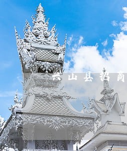 兴山县招商引资在线律师
