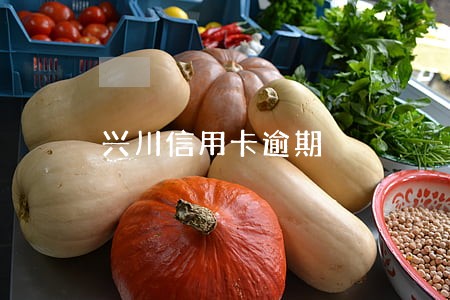 兴川信用卡逾期