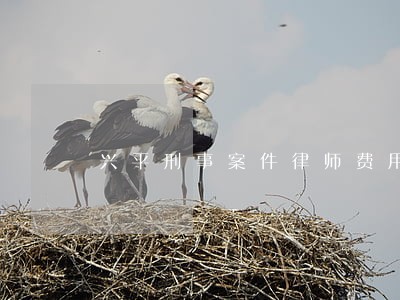 兴平刑事案件律师费用收取标准