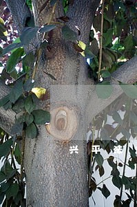 兴平法律援助中
