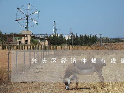 兴庆区经济仲裁在线律师 兴庆区经济仲裁在线律师