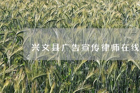 兴文县广告宣传律师在线免费咨询 兴文县广告宣传律师在线免费咨询