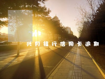 兴月银行信用卡逾期