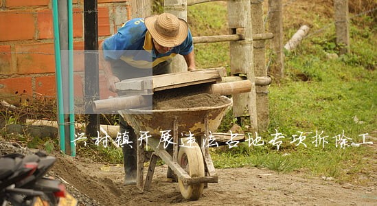 兴村镇开展违法占地专项拆除工作 兴村镇开展违法占地专项拆除工作