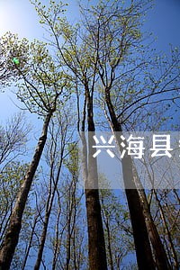 兴海县知名侵害名誉权诉讼律师 兴海县知名侵害名誉权诉讼律师
