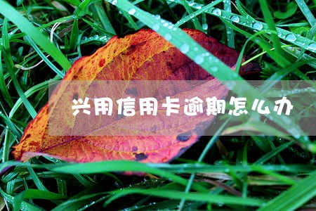兴用信用卡逾期怎么办 兴用信用卡逾期怎么办