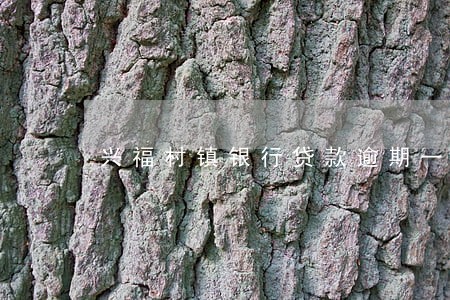 兴福村镇银行贷款逾期一天 兴福村镇银行贷款逾期一天