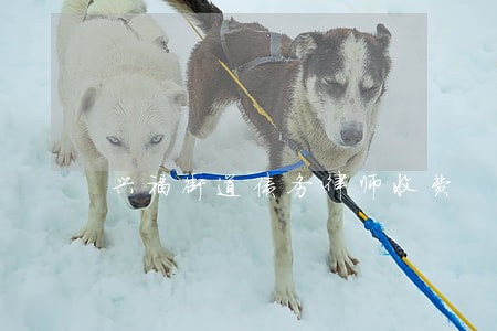兴福街道债务律师收费 兴福街道债务律师收费