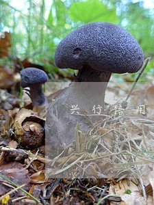 兴行信用卡逾期四个月 兴行信用卡逾期四个月