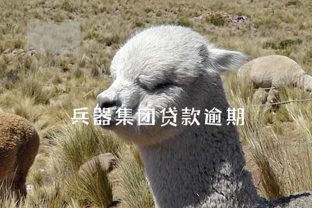 兵器集团贷款逾期 兵器集团贷款逾期