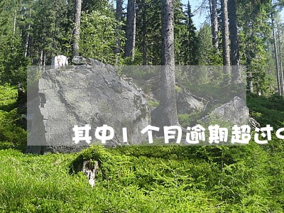 其中1个月逾期超过90