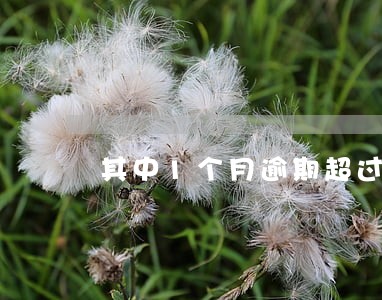 其中1个月逾期超过90天 其中1个月逾期超过90天