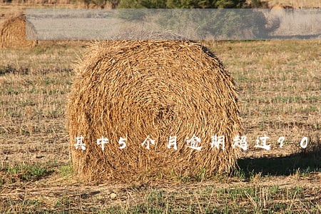 其中5个月逾期超过90天 其中5个月逾期超过90天