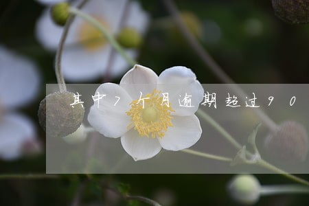 其中7个月逾期超过90天 其中7个月逾期超过90天