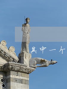 其中一个月逾期超过90天 其中一个月逾期超过90天