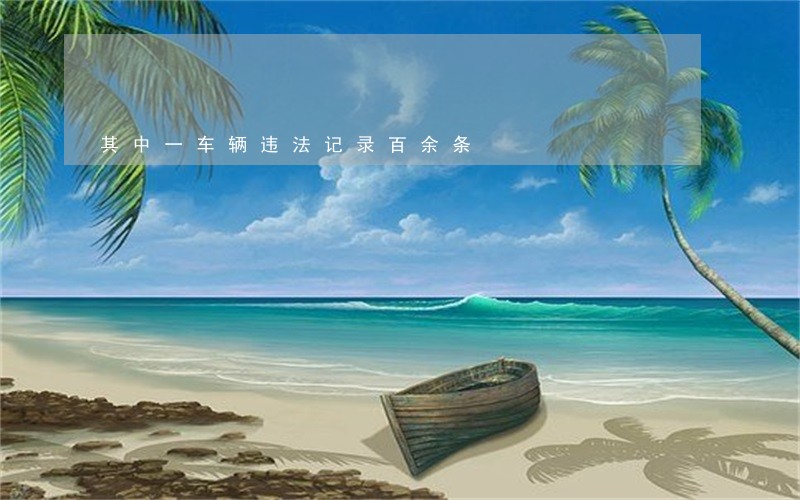 其中一车辆违法记录百余条 其中一车辆违法记录百余条