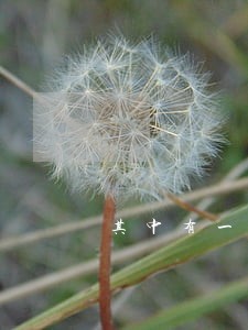 其中有一个条例要删除