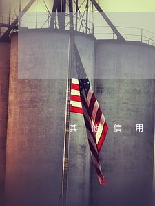 其他信用卡逾期多久会冻结 其他信用卡逾期多久会冻结