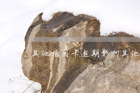 其他信用卡逾期影响其他网贷么