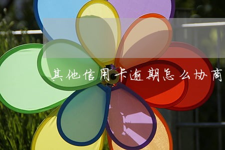 其他信用卡逾期怎么协商 其他信用卡逾期怎么协商