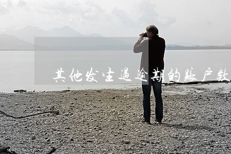 其他发生过逾期的账户数1