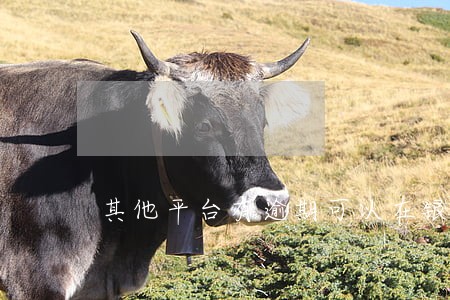 其他平台有逾期可以在银行借吗