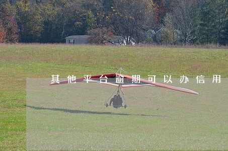 其他平台逾期可以办信用卡吗 其他平台逾期可以办信用卡吗